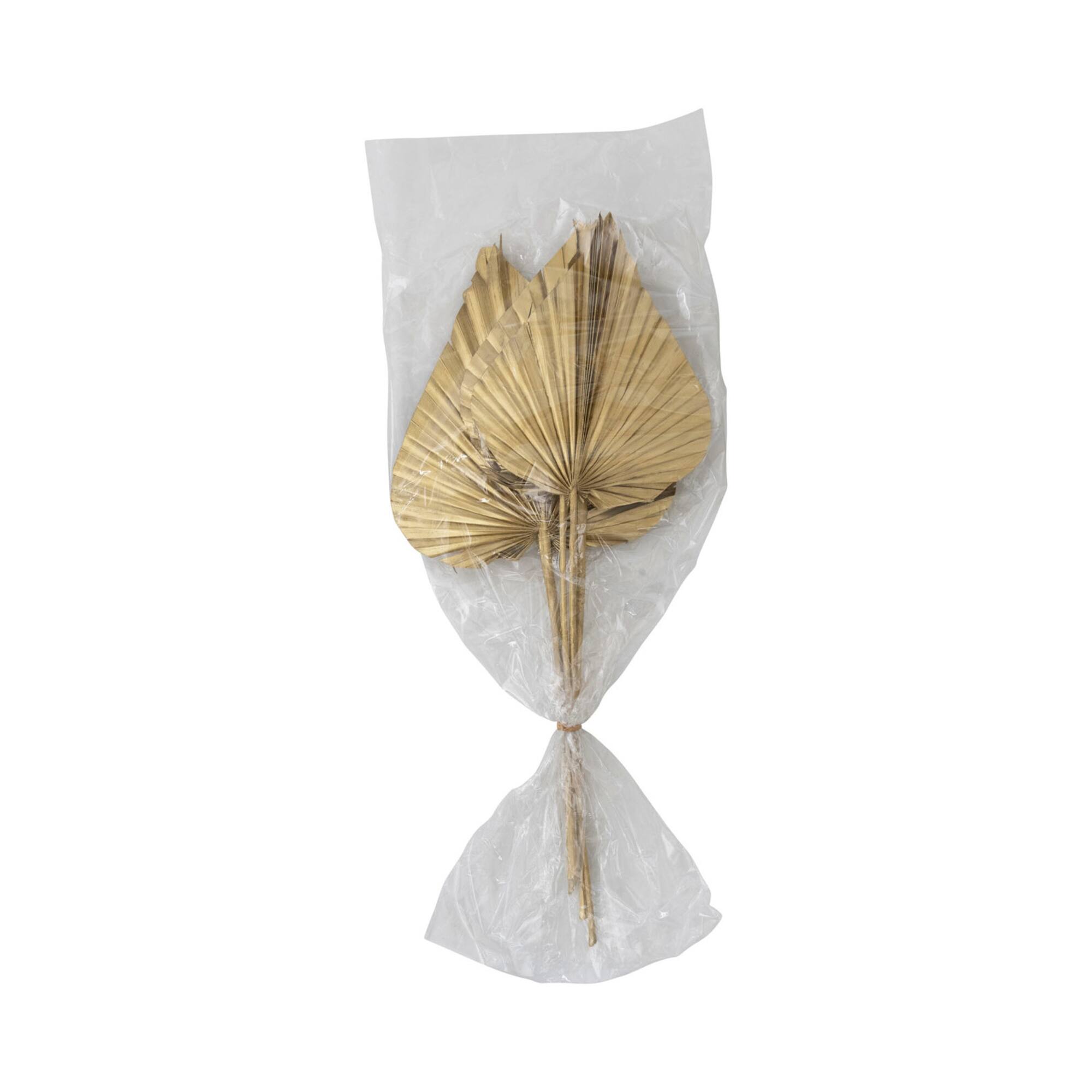 Hello Honey® Gold Finish Dried Natural Sun Cut Palm Bunch